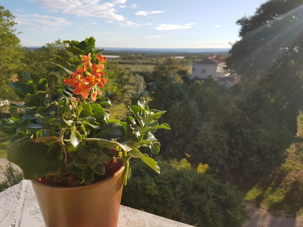 Apartman Andela Labinci Bagian luar foto